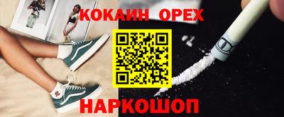 крисы Славгород
