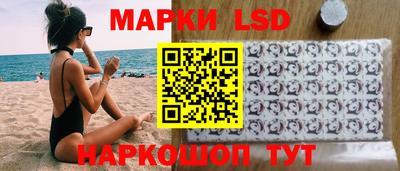 крисы Славгород