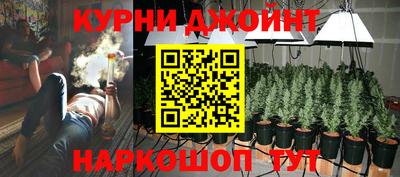 крисы Славгород