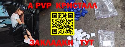 крисы Славгород