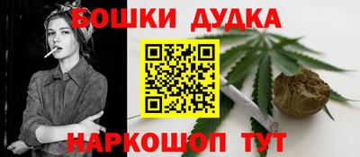 крисы Славгород