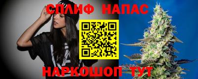 крисы Славгород