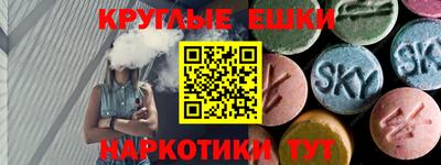 крисы Славгород