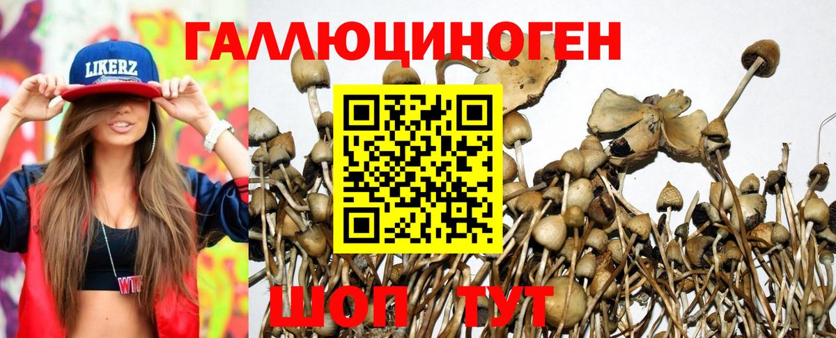 Галлюциногенные грибы прущие грибы Ногинск