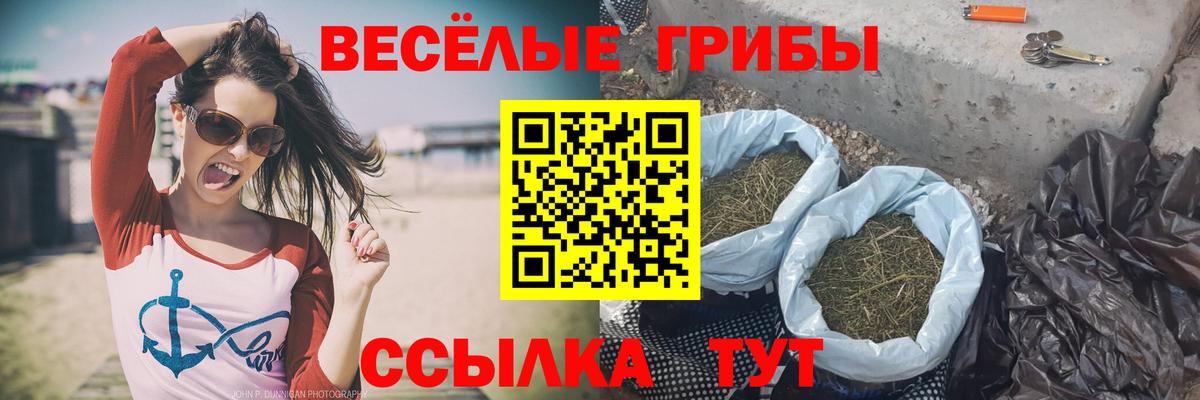 Галлюциногенные грибы прущие грибы  Вход с VPN  Ногинск 